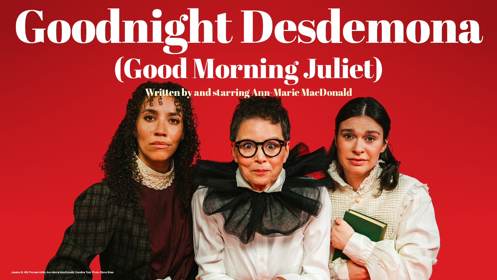 Goodnight Desdemona, Good Morning Juliet